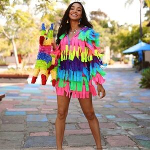 Piñata Costume